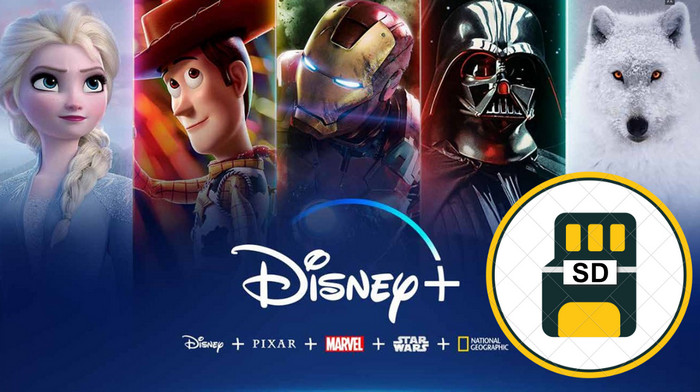 Disney Plus Video auf SD-Karte speichern