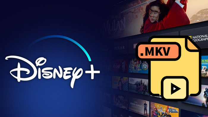 Disney Plus Videos als MKV herunterladen