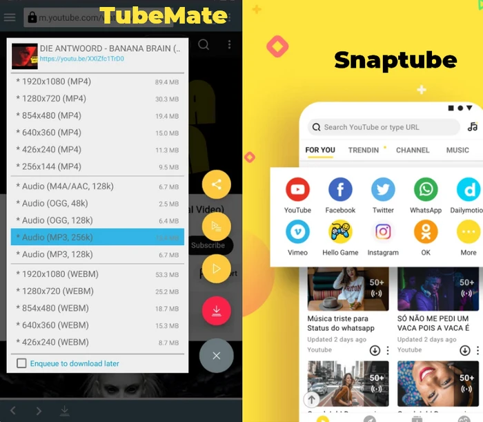 TubeMate und Snaptube